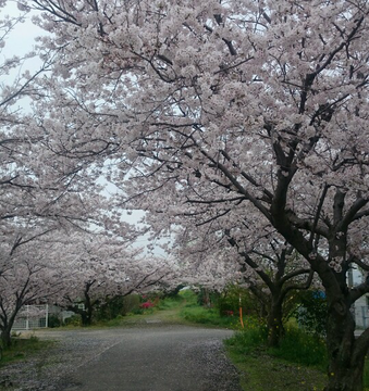 20150411_094153.png
